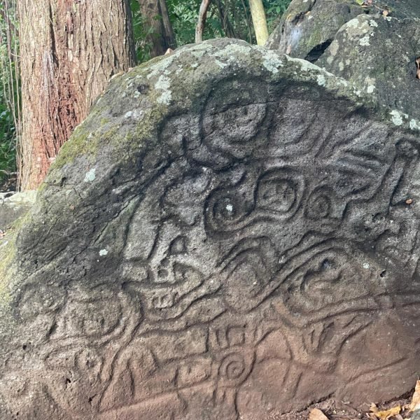 Explore Ometepe for 1 Day Tour - Imagen 3